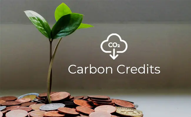 Development of Environmental Carbon Sink Industry