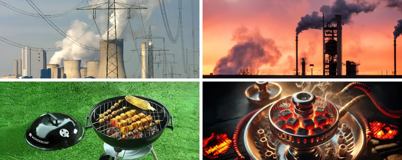 Wood Biochar Applications in Fuel Field