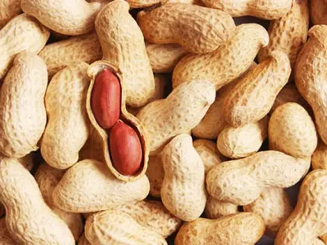 Peanut Shell