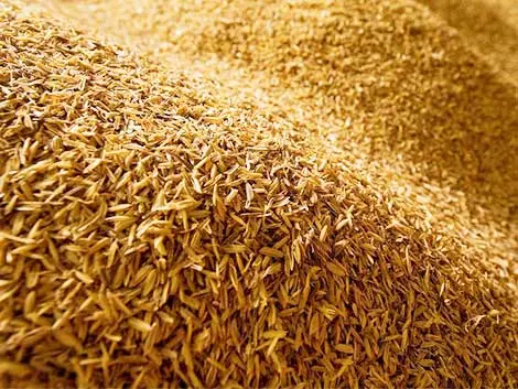 Rice Husk