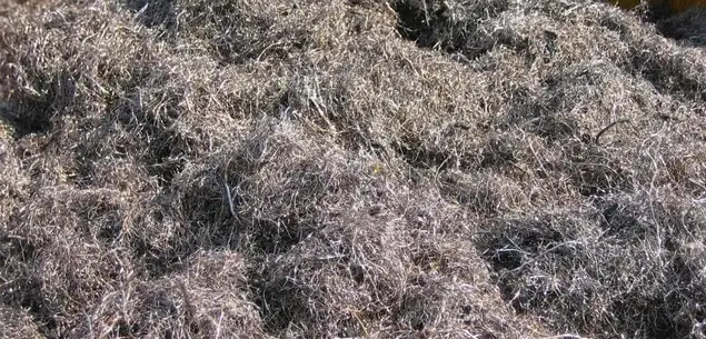 Steel Wire