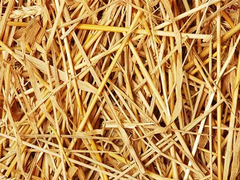 Straw