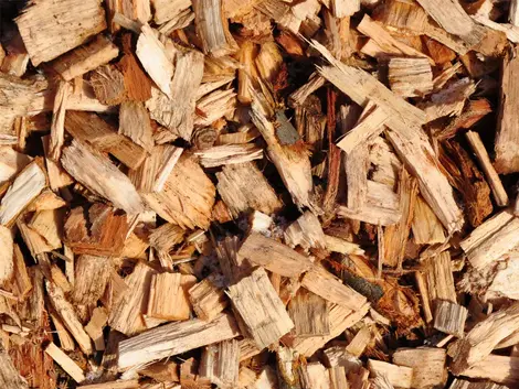 Wood Chips