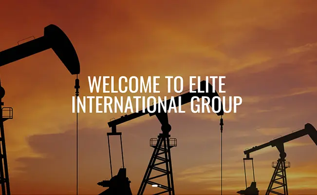 The Co-Organizer Elite International