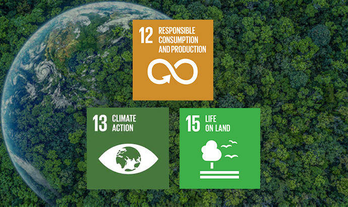 Coconut Shell to Charcoal Solution Promotes SDGs at Environmental Dimension