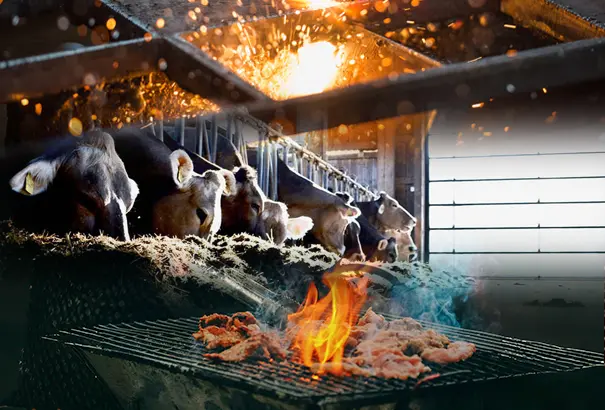 Some Applications of Coconut Shell Charcoal