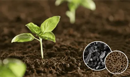 Biochar Pyrolysis for Soil Improvement