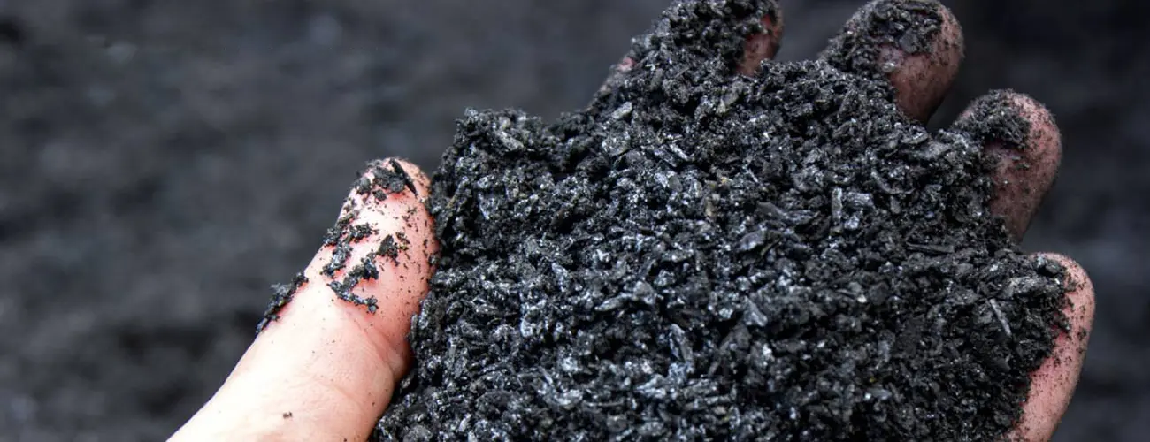 Explore Biochar