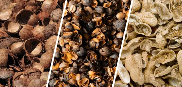 Food Processing Industry