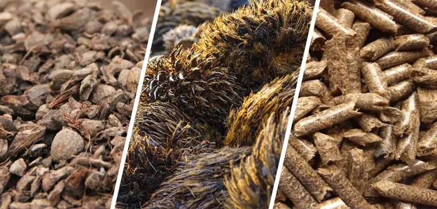 Palm Oil Industry
