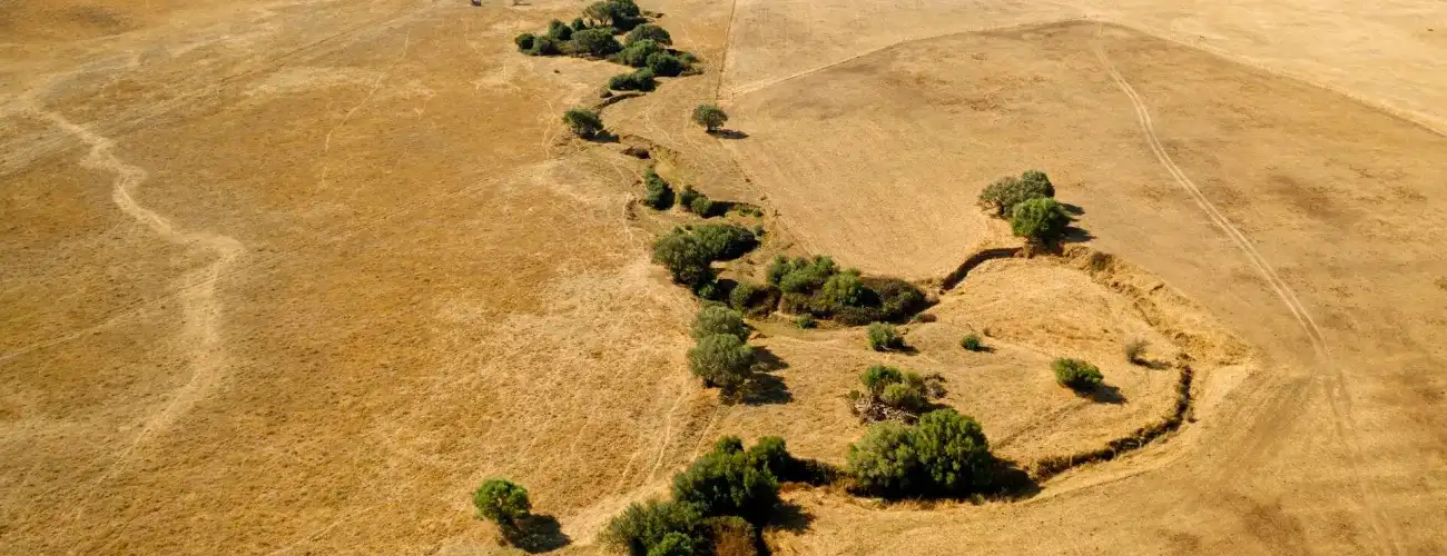 Soil Desertification in UAE