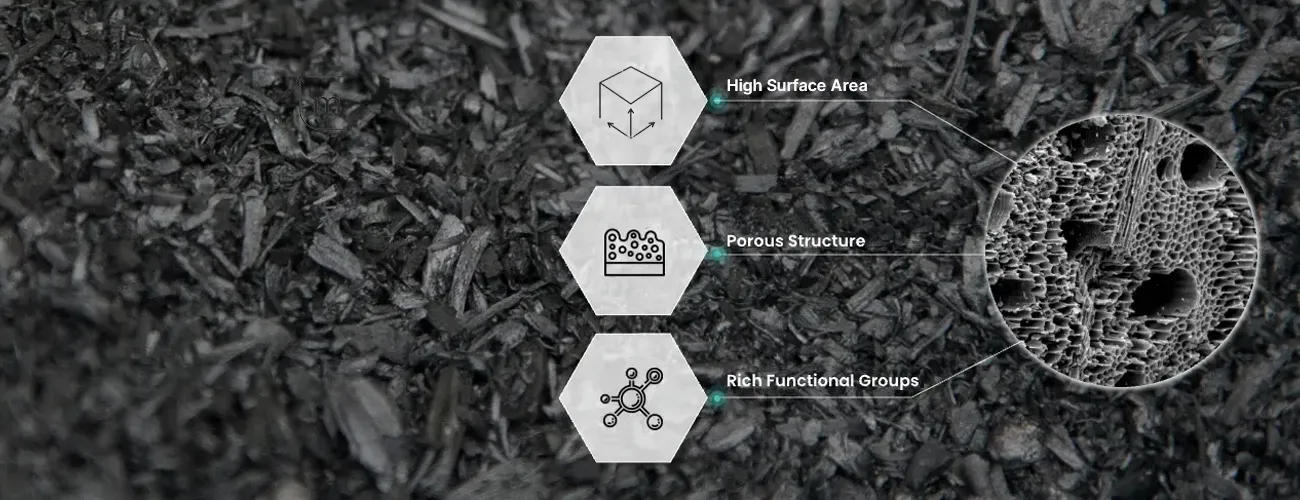 Structural Characteristics of Biochar