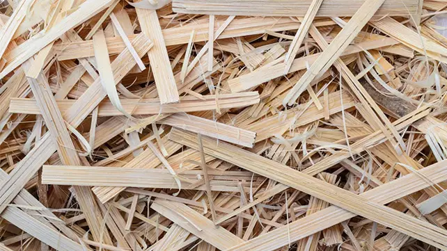 Bamboo Processing Waste
