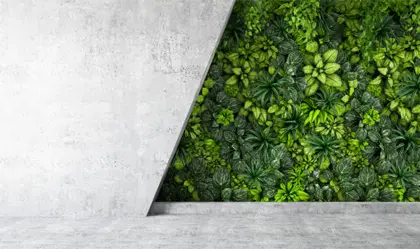 Biochar as Green Construction Material