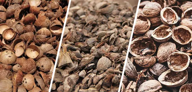 Fruit Shells and Nutshells for Carbonization