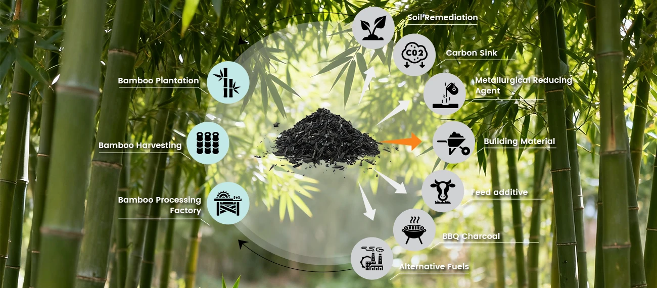 Key Applications of Bamboo Charcoal