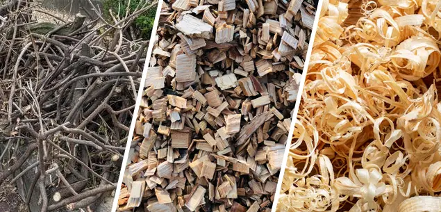 Wood-Based Biomass for Carbonization