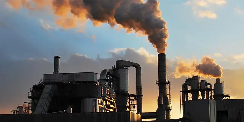 Biochar as Industrial Fuel