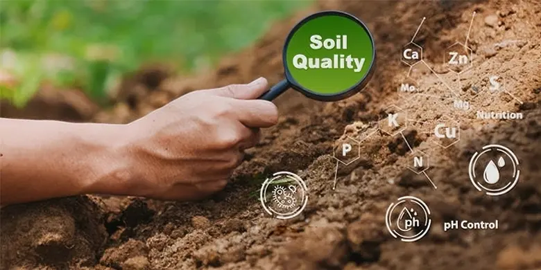 Biochar for Soil Improvement