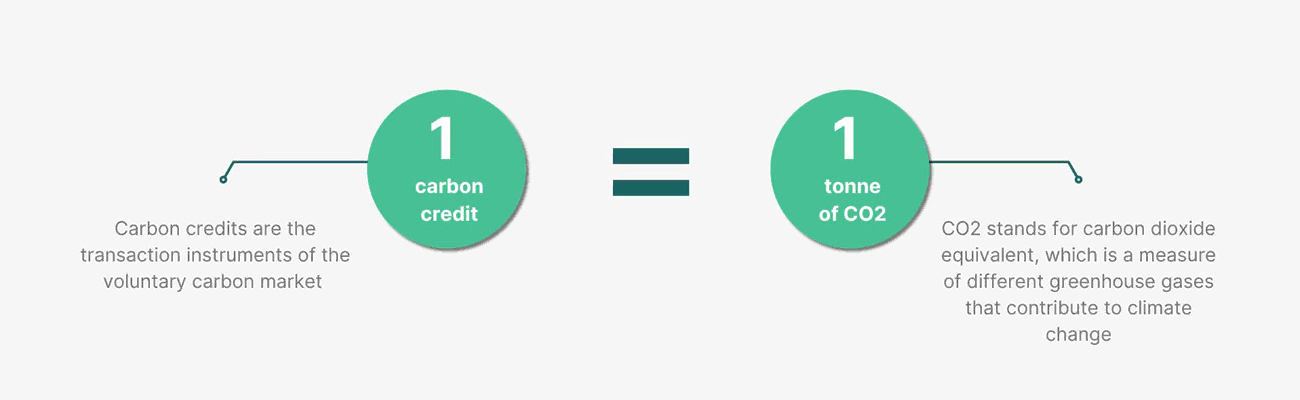 One carbon credit equals one ton of CO2 removed