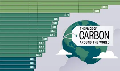 Palm Kernel Shell Biochar for Carbon Removal