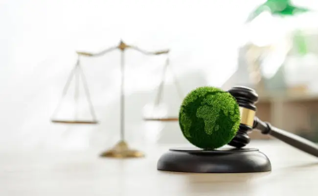 Environmental Compliance Consideration