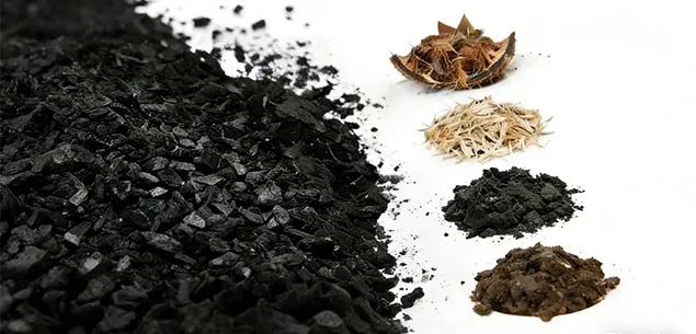 Feedstocks for Biochar Production