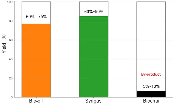 Biochar as a By-product from Fast Pyrolysis and Gasification