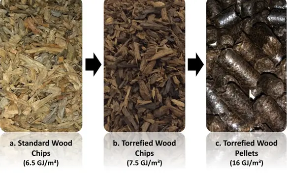 Biomass Torrefaction